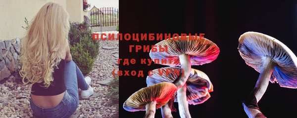 сатива Армянск